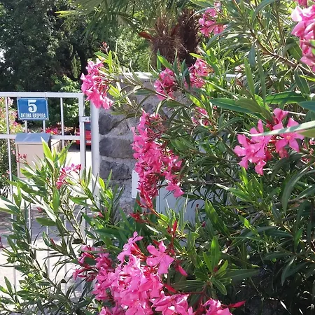 Oleandri1 Mit Blick Auf Wasser By Interhome Διαμέρισμα