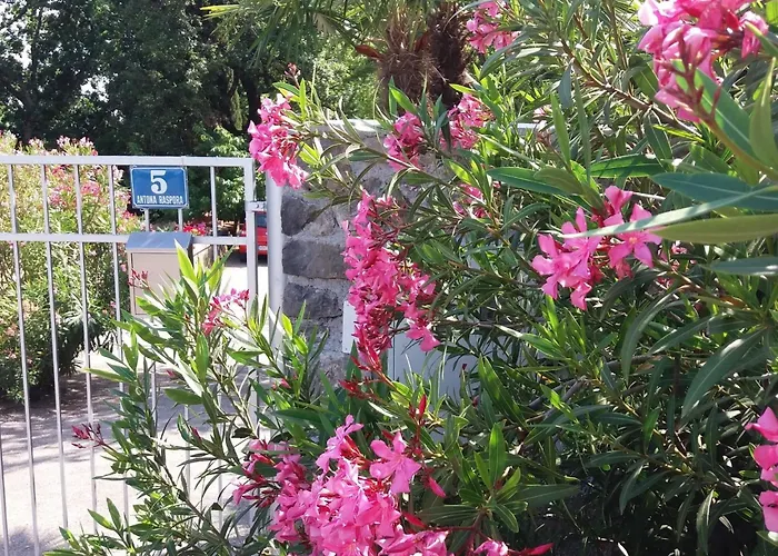 Oleandri1 Mit Blick Auf Wasser By Interhome Διαμέρισμα